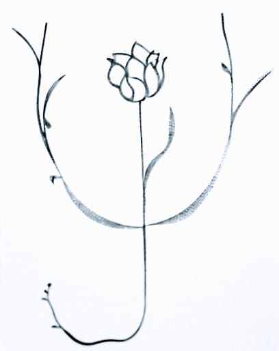 Jordi Brañas